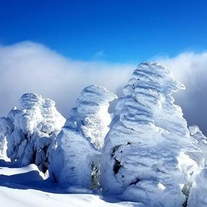 Meet your Posher, Jess